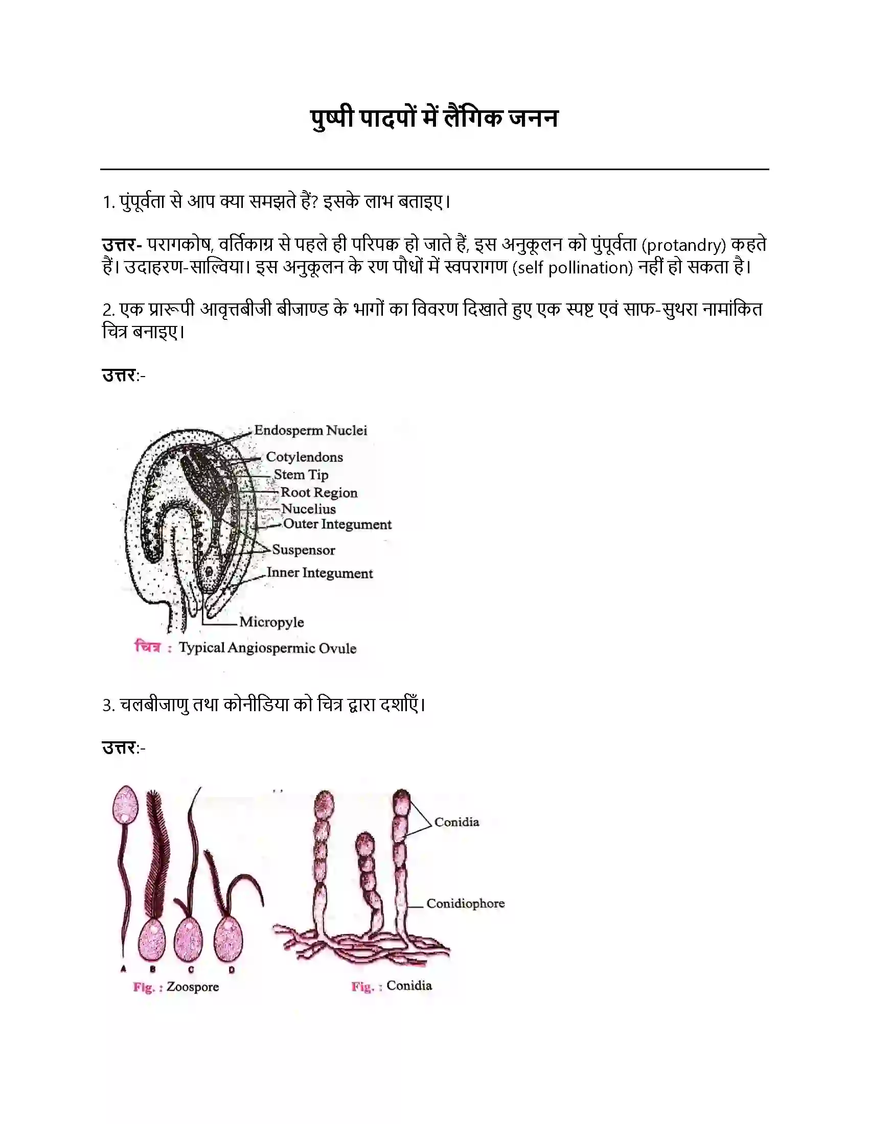 Bihar Board Class 12th पुष्पी पादपों में लैंगिक प्रजनन पुष्पी पादपो में लैगिक जनन  Subjective Objective Question 1