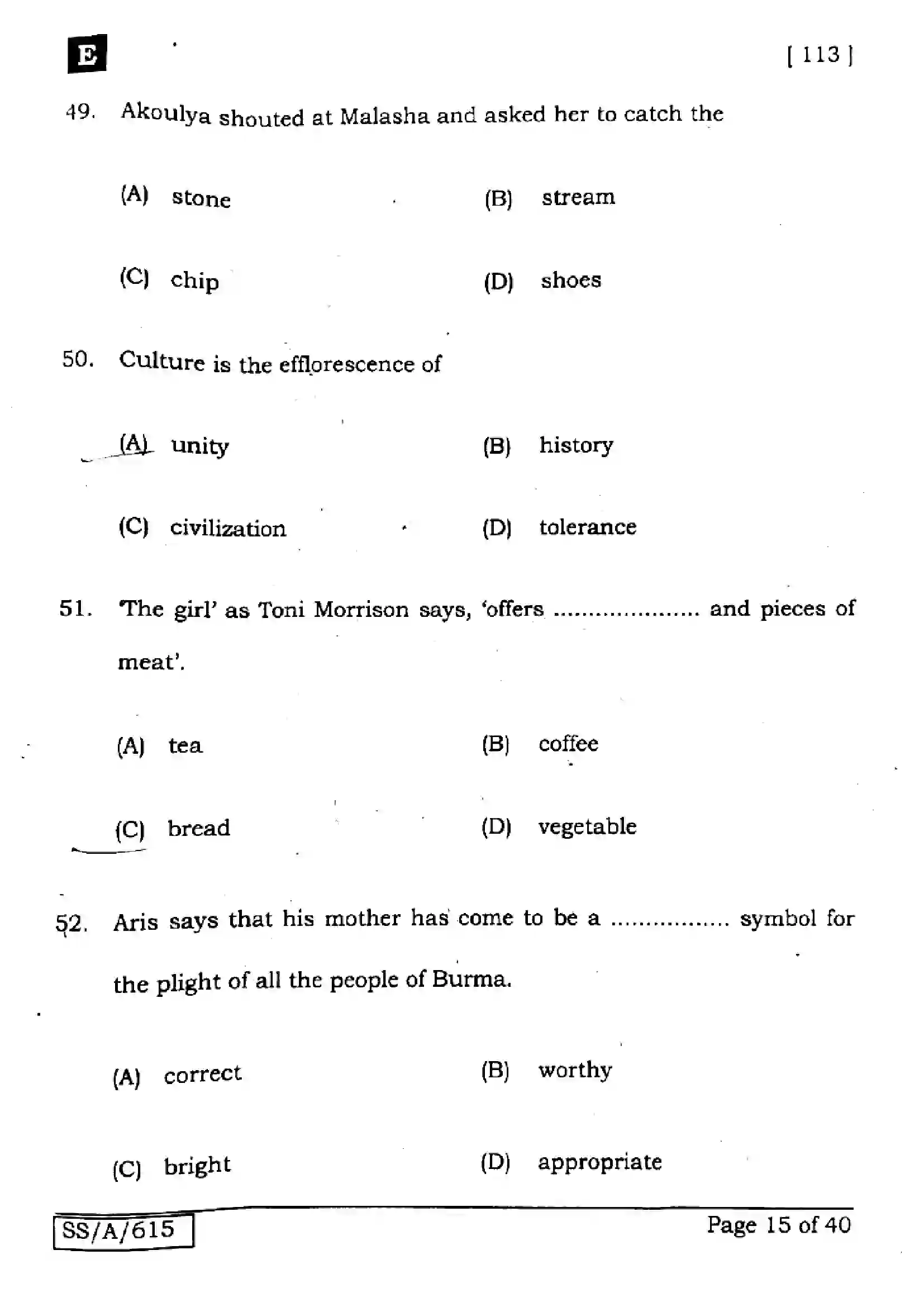 Bihar Board Class 10th 2025 English  113  SetE  2025 Previous Year Paper 15