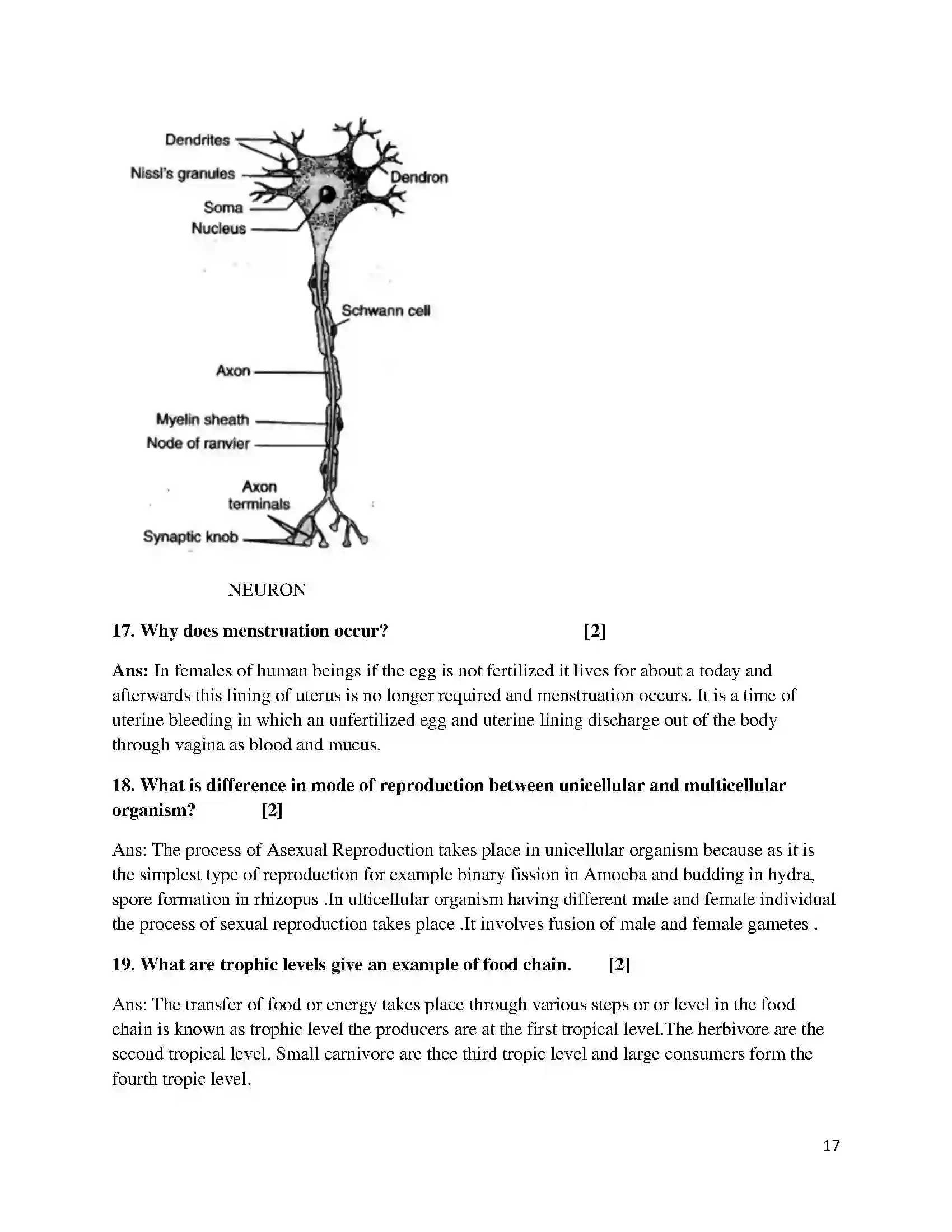 Bihar Board Class 10th 2018 Science  2018 Previous Year Paper 17