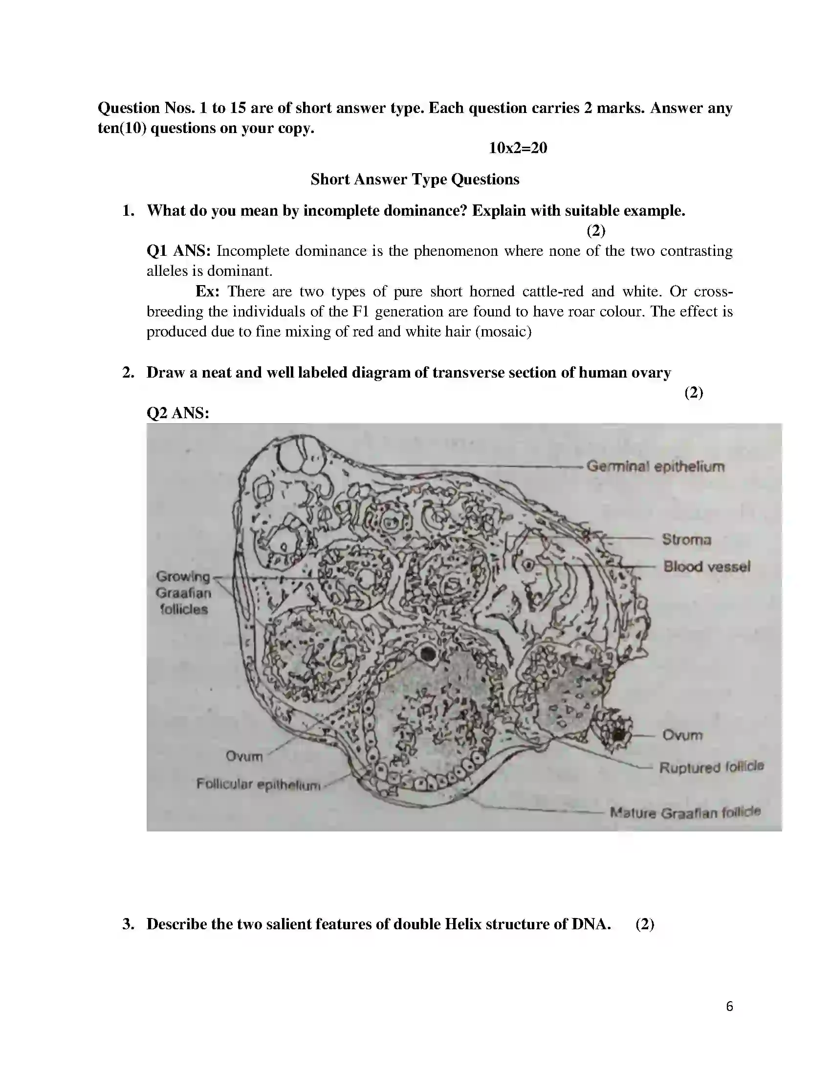 Bihar Board Class 12th 2018 Biology  2018 Previous Year Paper 6