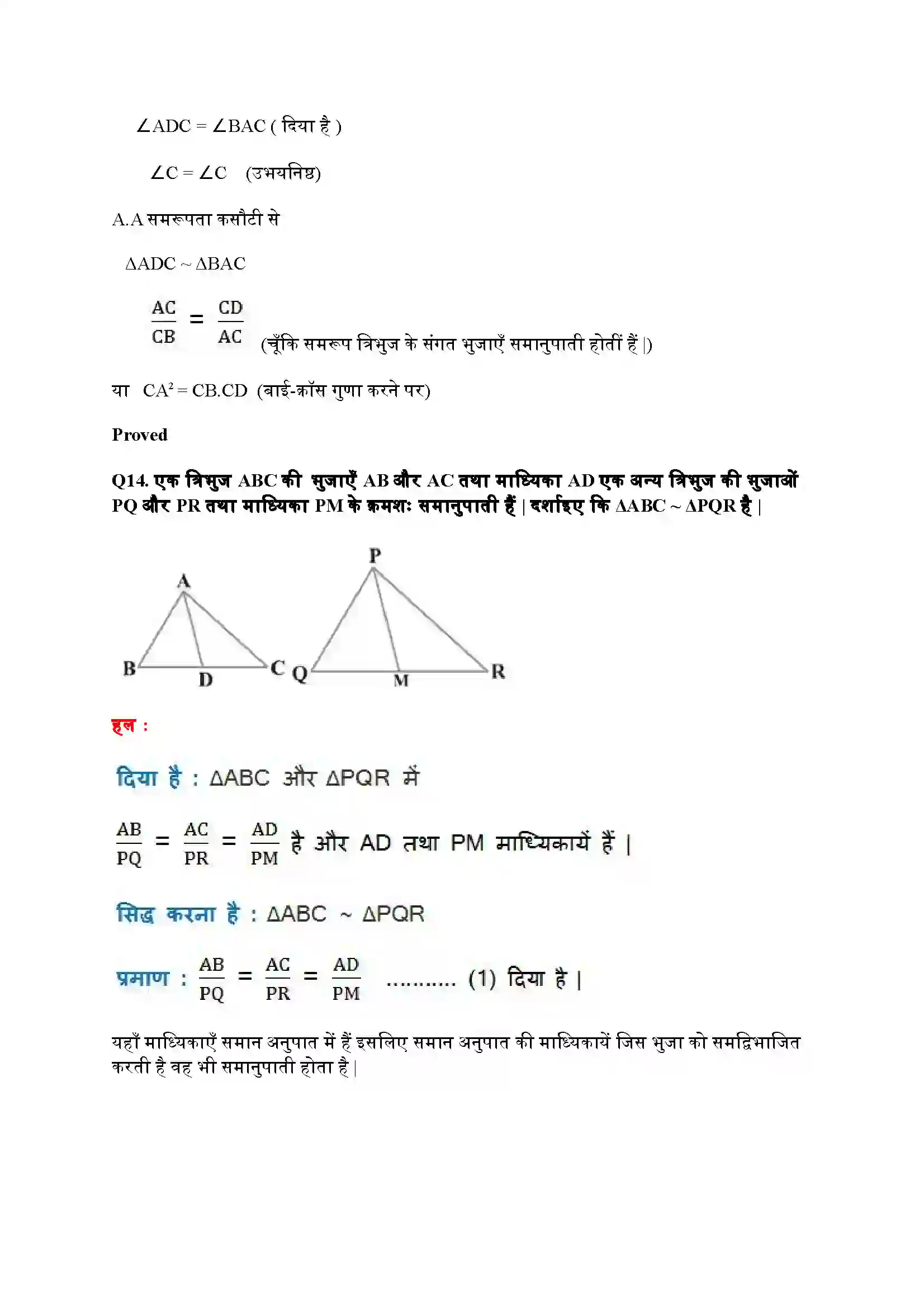 Bihar Board Class 10th Maths (गणित) Chapter 6 (त्रिभुज) Solution 30