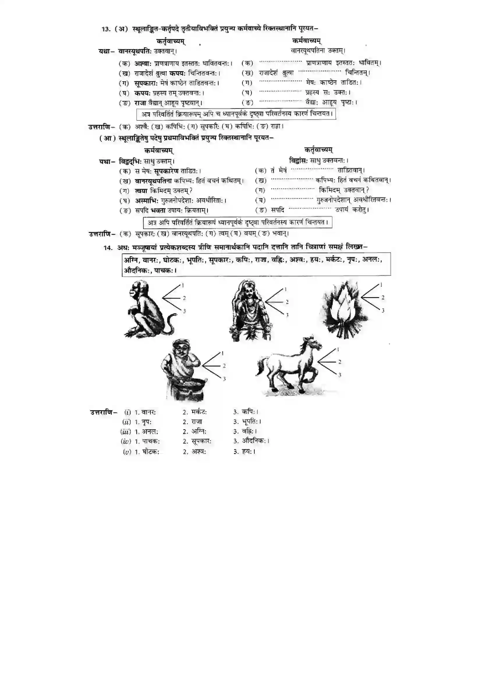 Bihar Board Class 10th Sanskrit (NCERT Sanskrit) Chapter 2) Solution 14