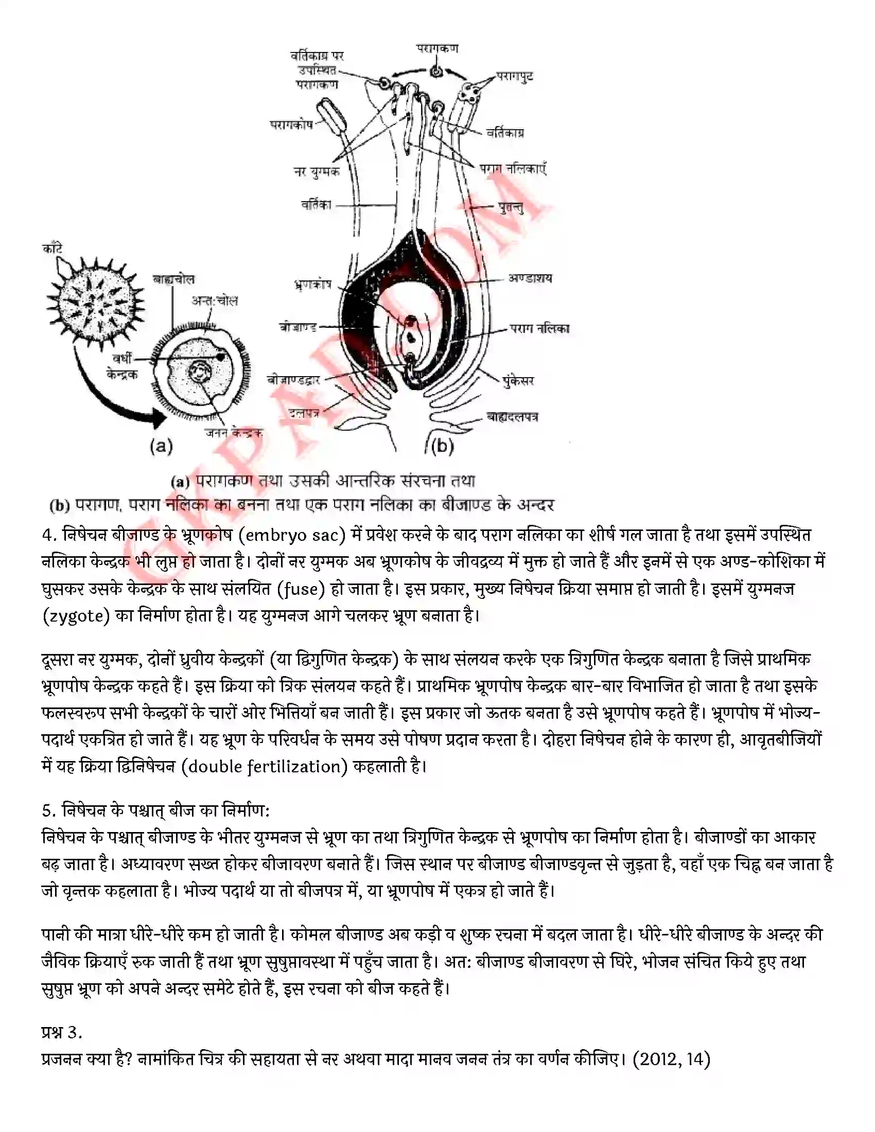 Bihar Board Class 10th Science (विज्ञान) Chapter 8 जीव जनन कैसे करते है) Solution 16