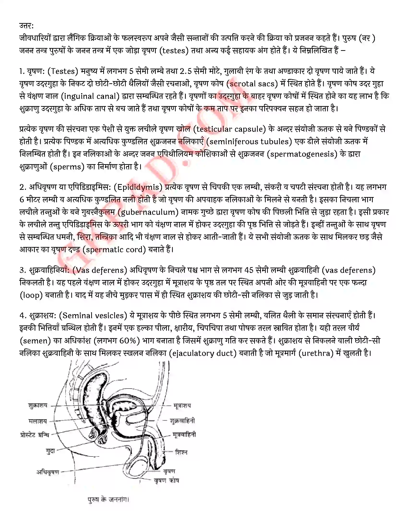 Bihar Board Class 10th Science (विज्ञान) Chapter 8 जीव जनन कैसे करते है) Solution 17