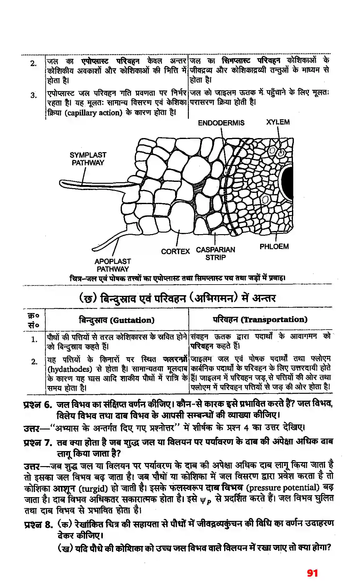 Bihar Board Class 11th Biology (जीव विज्ञान) Chapter 11 (पौधों में परिवहन) Solution 4