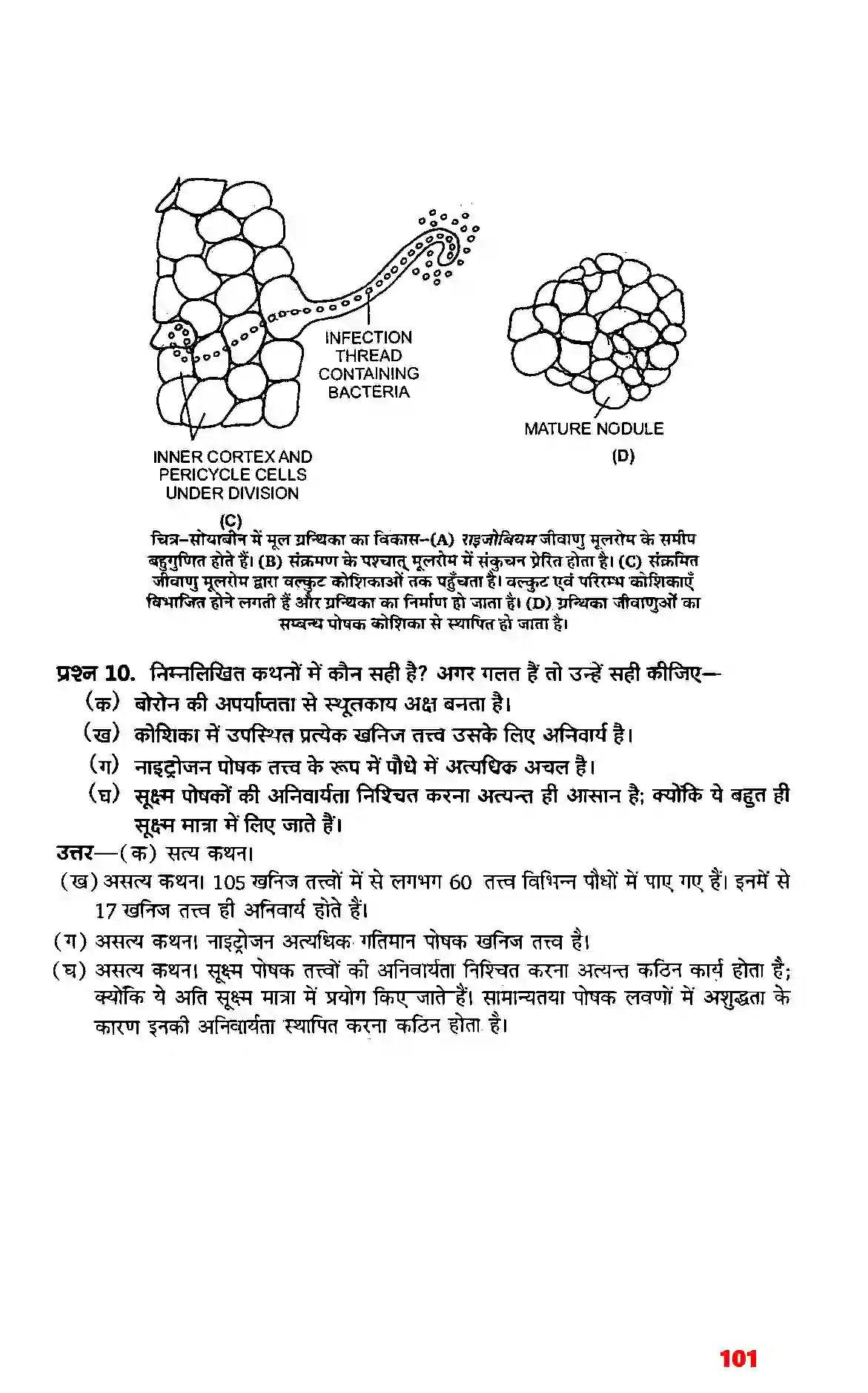 Bihar Board Class 11th Biology (जीव विज्ञान) Chapter 12 (खनिज पोषण) Solution 4