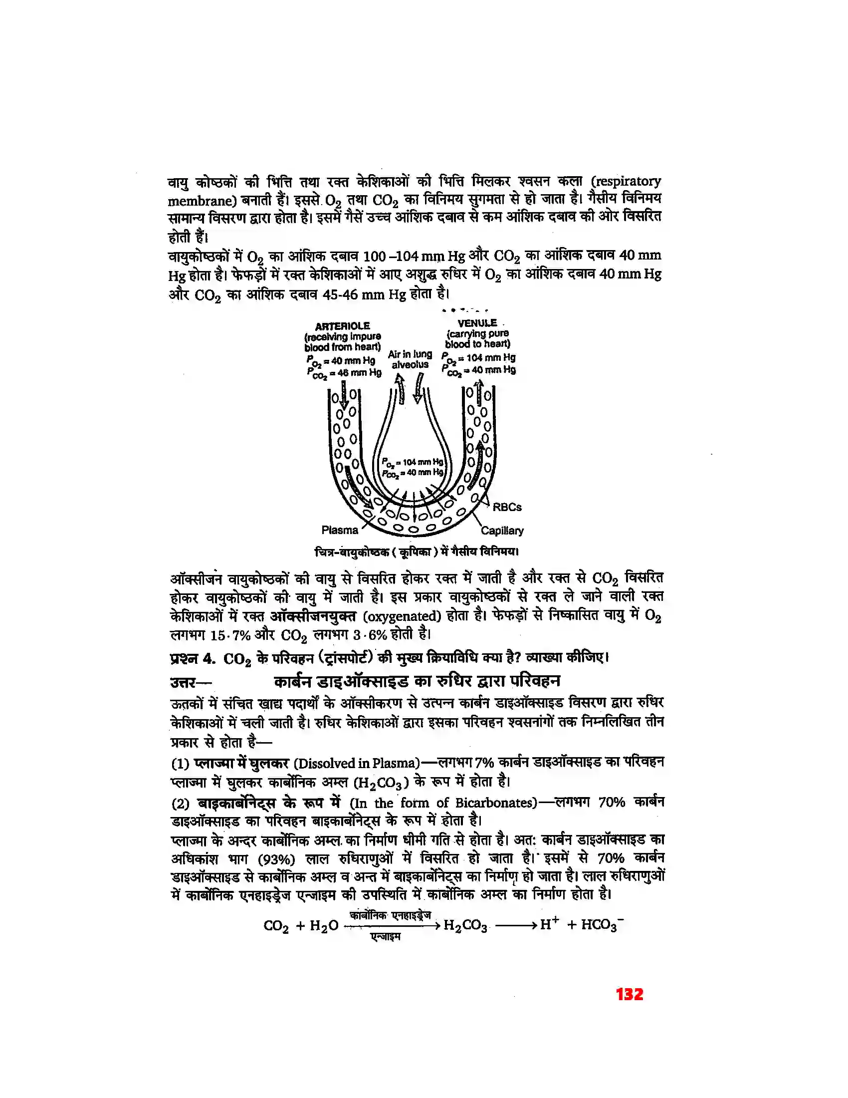 Bihar Board Class 11th Biology (जीव विज्ञान) Chapter 17 (श्वसन और गैसों का विनिमय) Solution 2