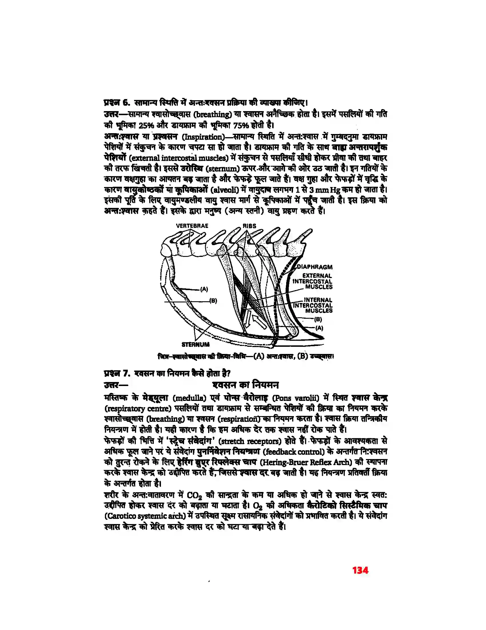 Bihar Board Class 11th Biology (जीव विज्ञान) Chapter 17 (श्वसन और गैसों का विनिमय) Solution 4