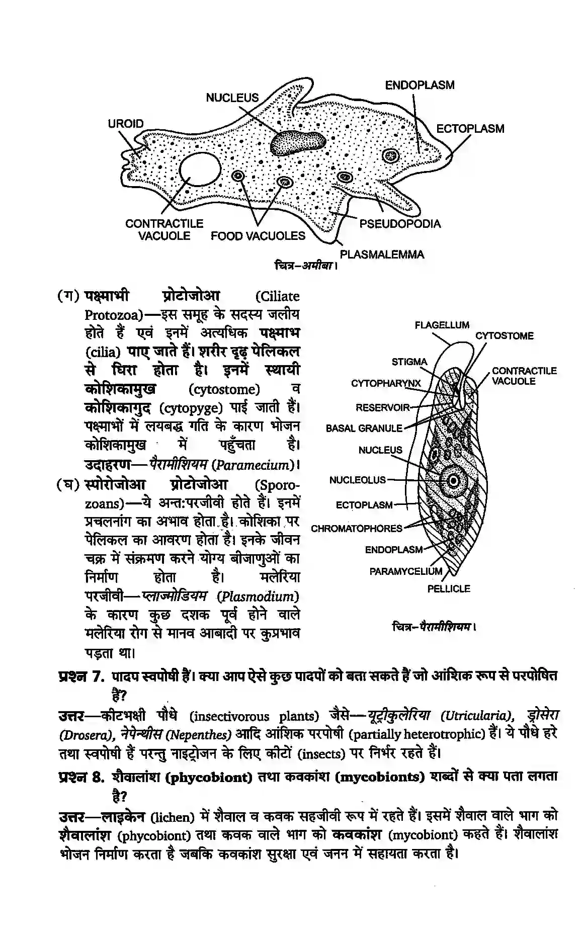 Bihar Board Class 11th Biology (जीव विज्ञान) Chapter 2 (जीव जगत का वर्गीकरण) Solution 3