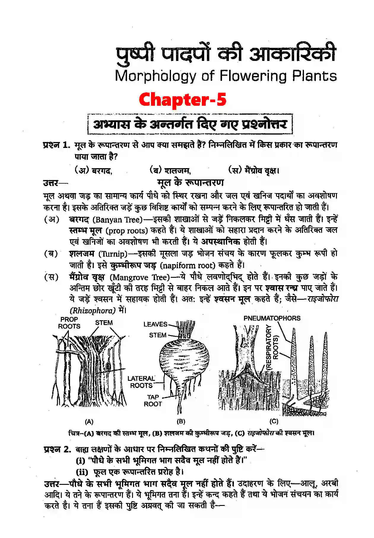 Bihar Board Class 11th Biology (जीव विज्ञान) Chapter 5 (पुष्पी पादपों की आकारिकी) Solution 1