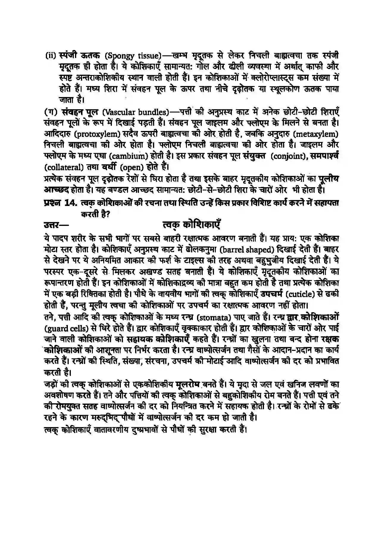 Bihar Board Class 11th Biology (जीव विज्ञान) Chapter 6 (पुष्पी पादपों का शारीर) Solution 9