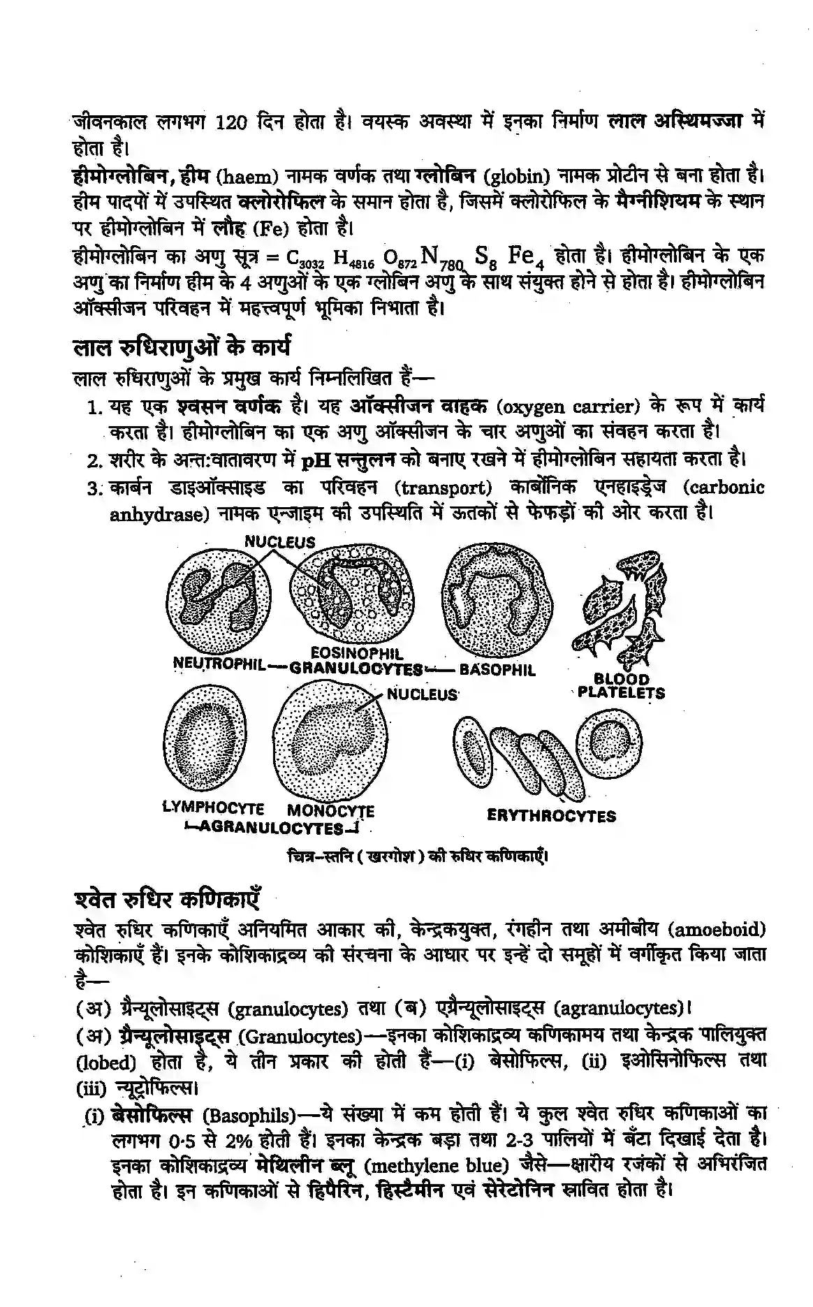 Bihar Board Class 11th Biology (जीव विज्ञान) Chapter 7 (प्राणियों में संरचनात्मक संगठन) Solution 4
