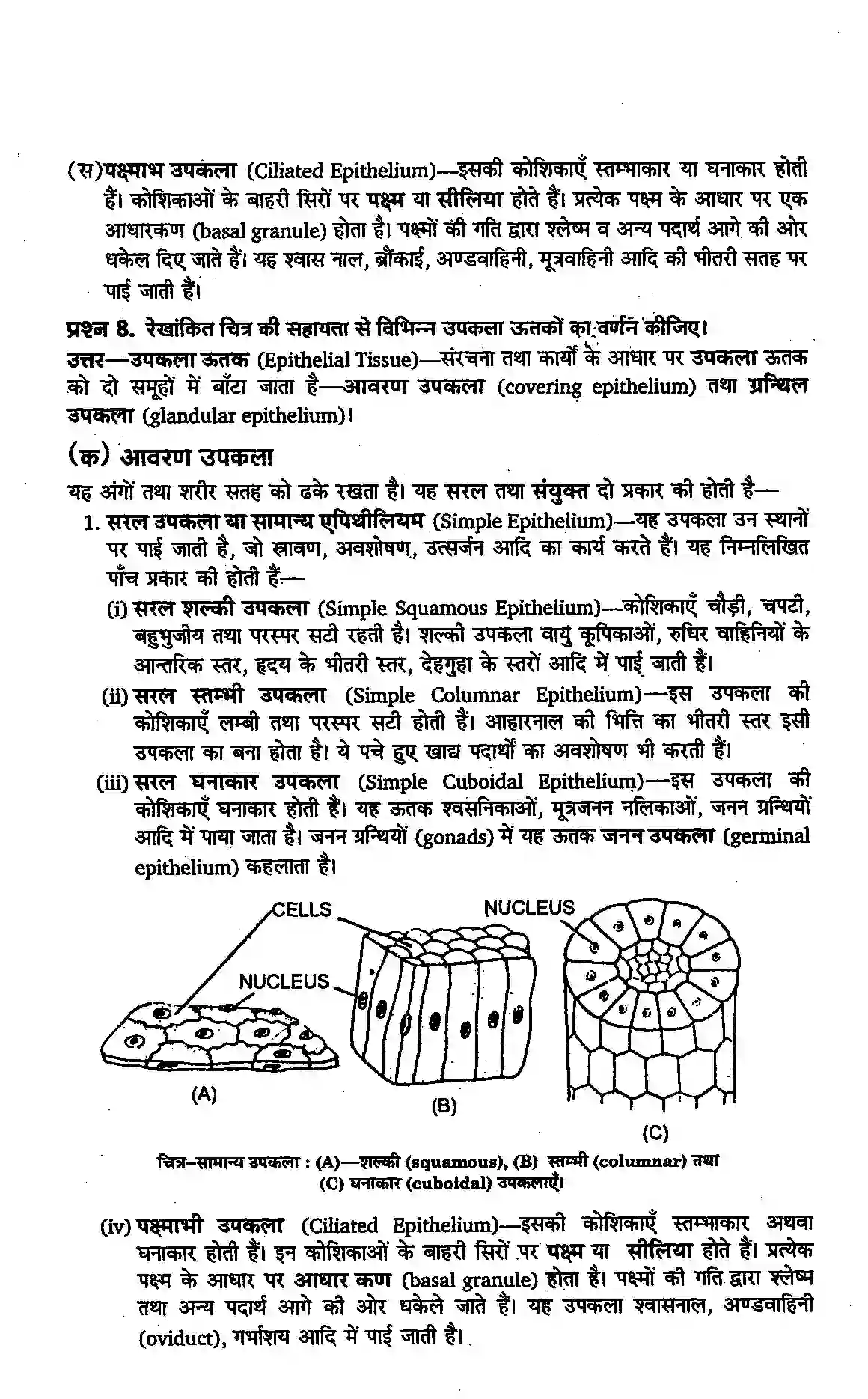 Bihar Board Class 11th Biology (जीव विज्ञान) Chapter 7 (प्राणियों में संरचनात्मक संगठन) Solution 6