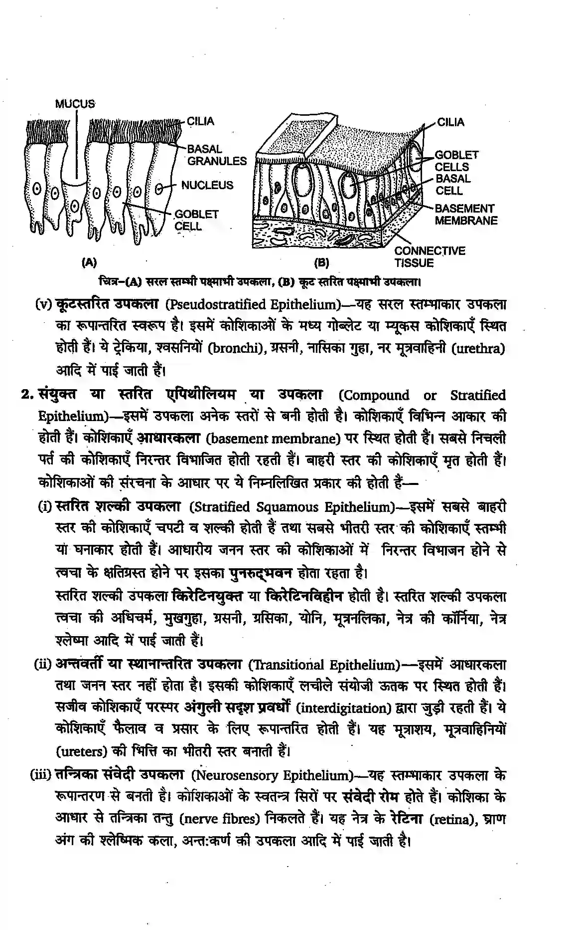 Bihar Board Class 11th Biology (जीव विज्ञान) Chapter 7 (प्राणियों में संरचनात्मक संगठन) Solution 7