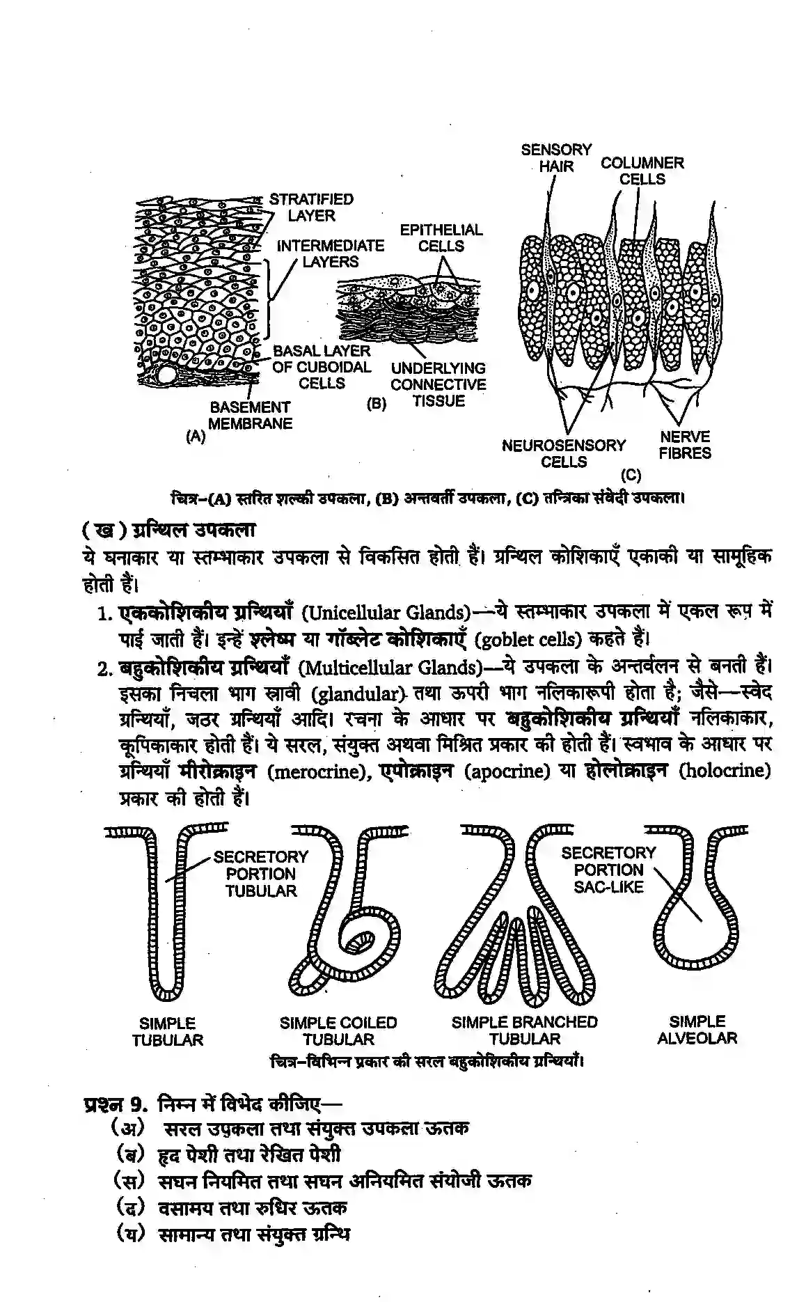Bihar Board Class 11th Biology (जीव विज्ञान) Chapter 7 (प्राणियों में संरचनात्मक संगठन) Solution 8