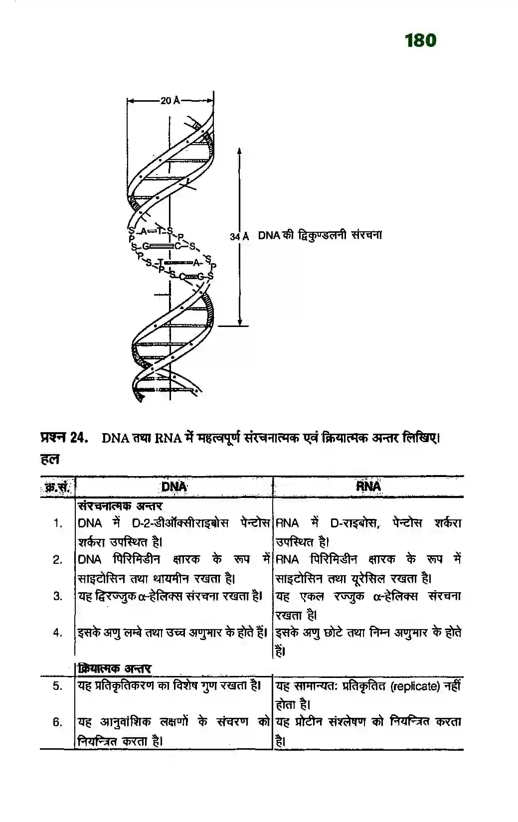 Bihar Board Class 12th Chemistry (रसायन विज्ञान) Chapter 14 (जैव अणु) Solution 13